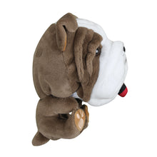 Load image into Gallery viewer, Scott Edward Funny Animal Head Golf Covers, Fit Drivers, Fairway Wood, Lovely Dogs, Cool and Functional
